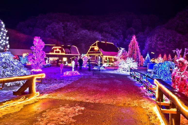 Christmas Lights, Neighborhood