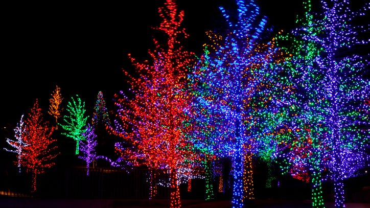 Things To Do Around DFW: ​ November 25 - 28