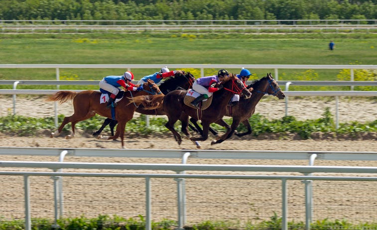 Place your bets!: Horse racing starts Friday at Northville Downs