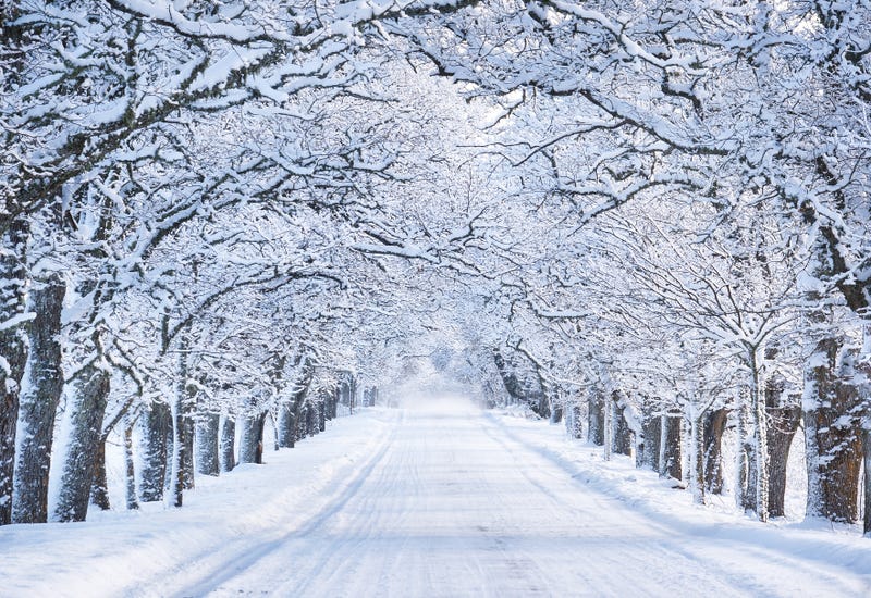 Chicago Snow