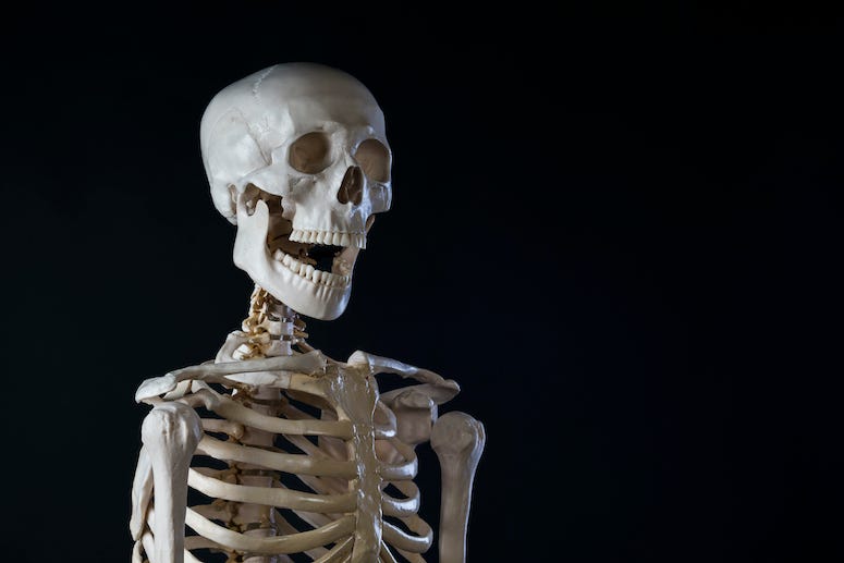 Skeleton, Black Background
