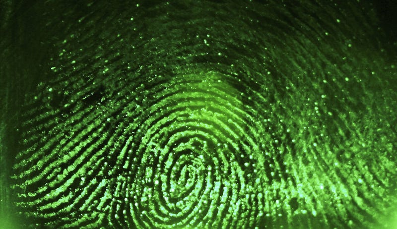 Fingerprint Stock Image