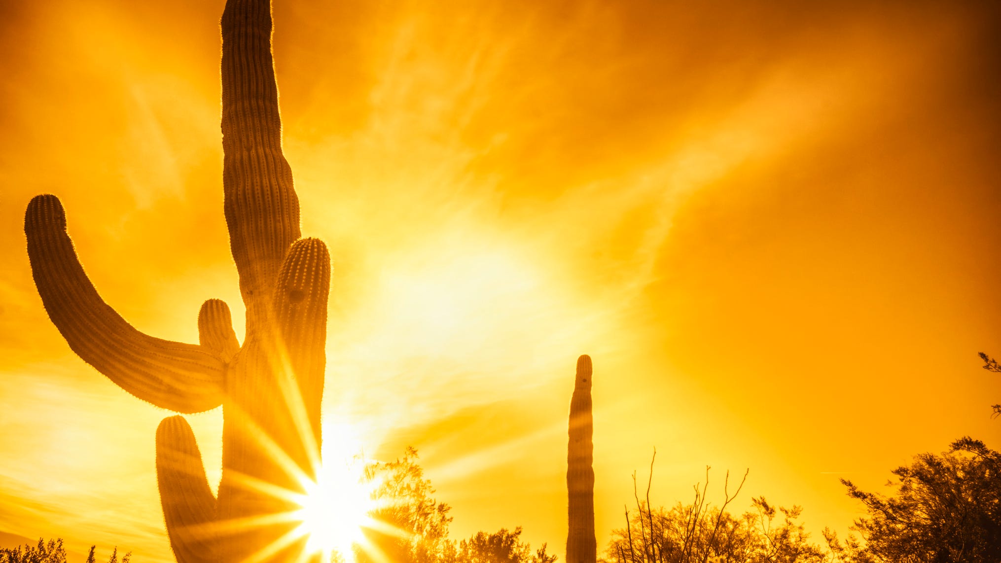 Deadliest summer of the year for heat in Arizona