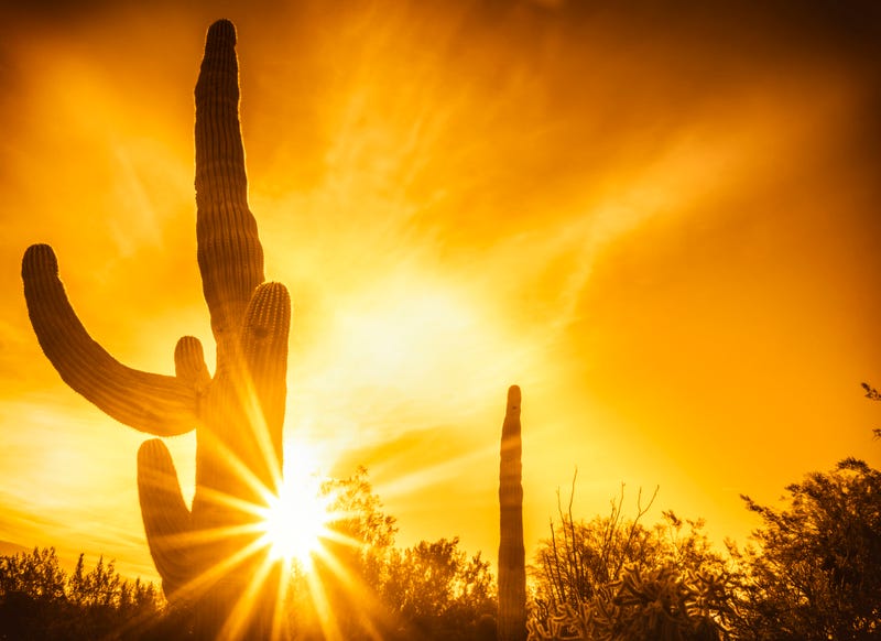 Desert heat