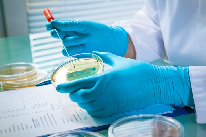 testing bacteria in a lab