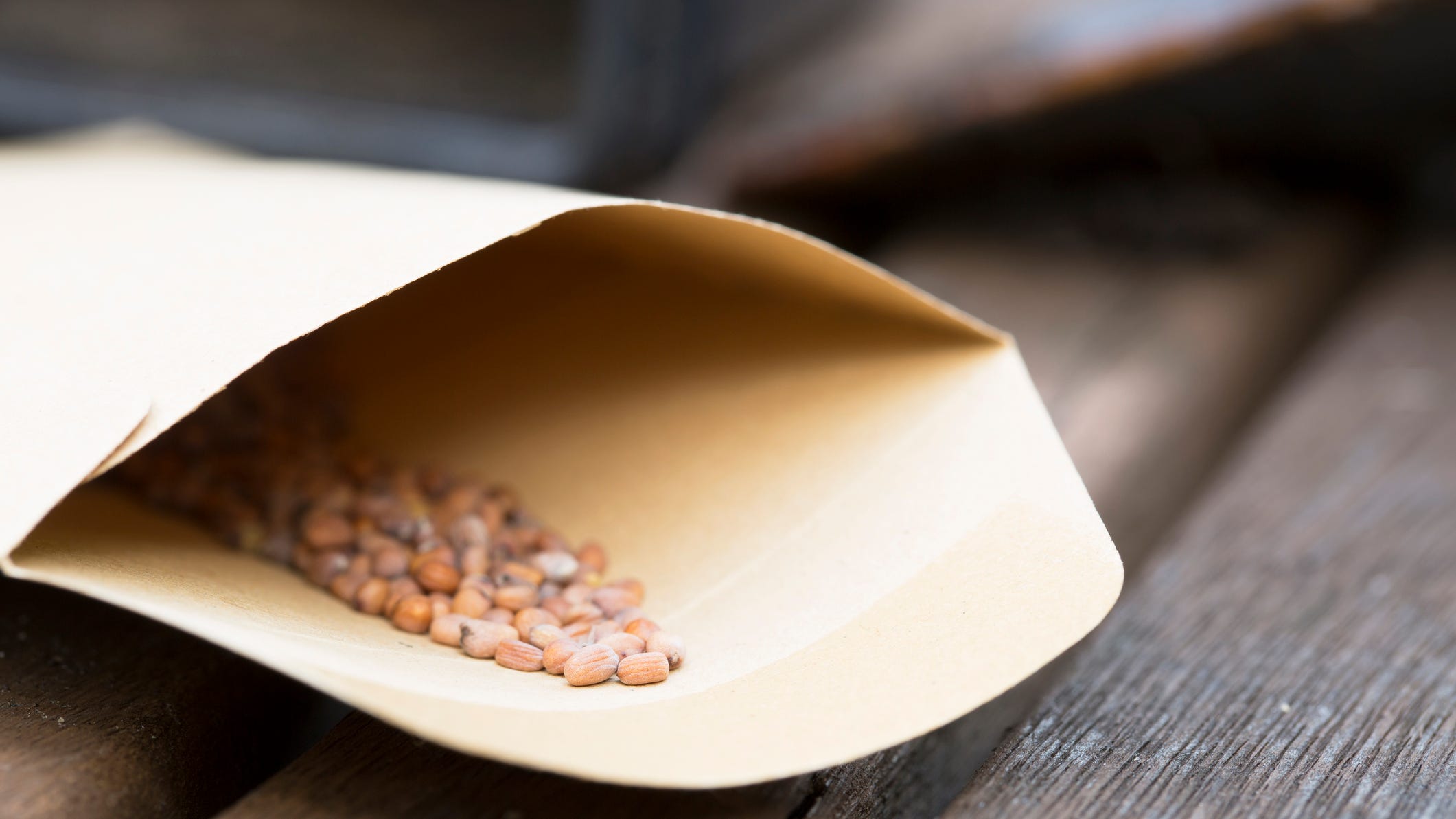 Investigation Launched Into Mysterious Seed Packages That People Are Getting in the Mail
