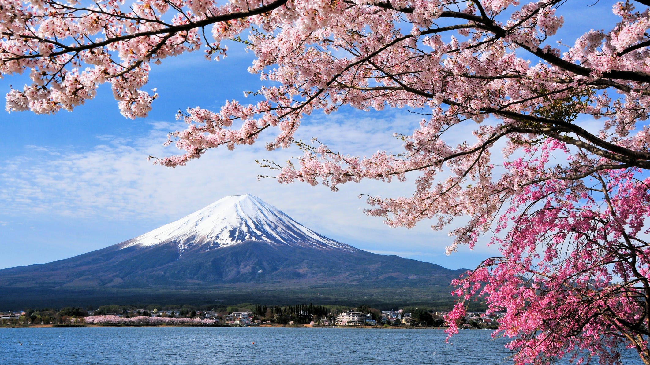 See how travelers snagged $202 round-trip tickets to Japan: 'I'm still in shock'