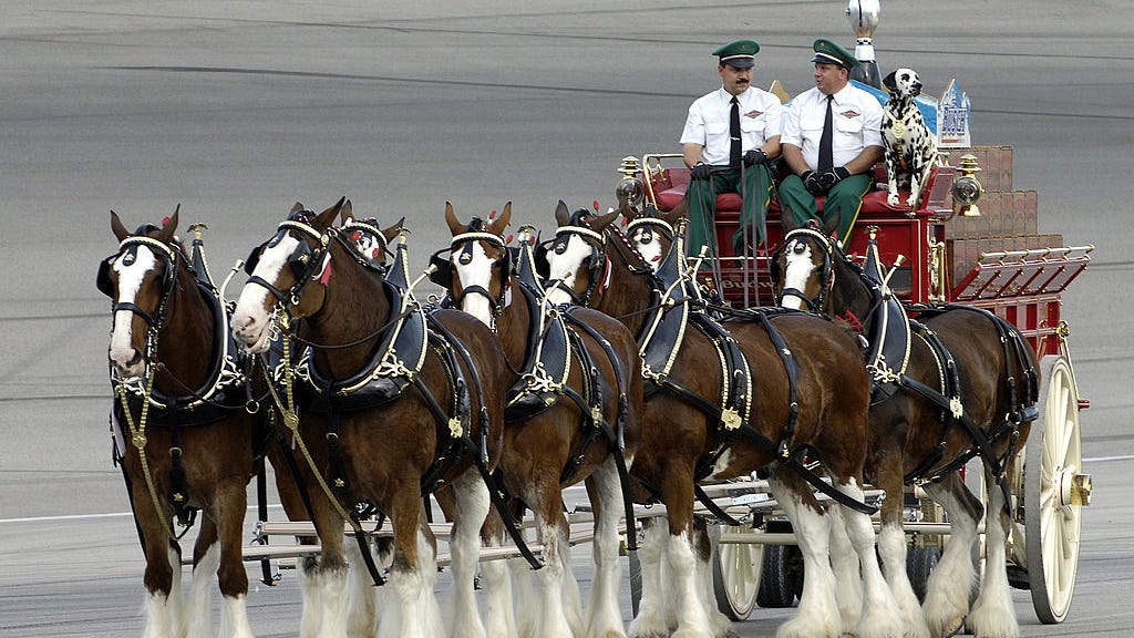 WATCH: Another beer company is using Budweiser Clydesdales in Super Bowl commercial