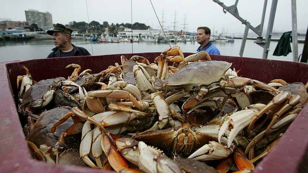 Why crab fishing continues to be delayed in Bay Area