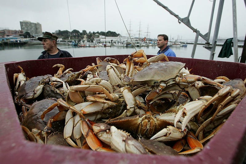 Two fisherman stand near a bucket full of Dungeness Crab on Fisherman's Wharf November 28, 2005 in San Francisco, California.