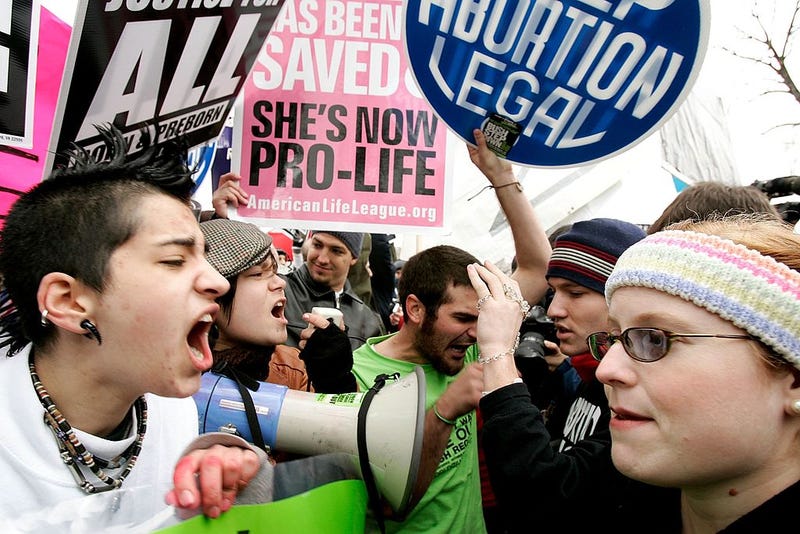 Abortion rights protesters
