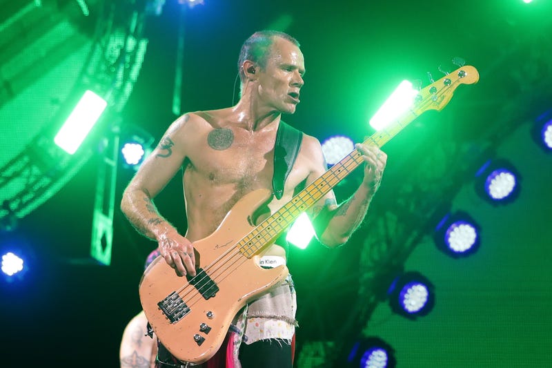Michael 'Flea' Balzary of the Red Hot Chili Peppers performs on stage during the Valley Rock Festival