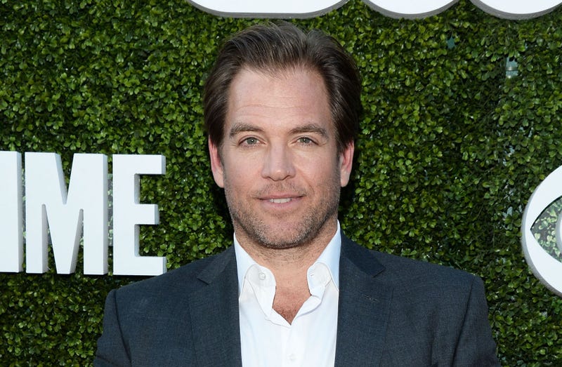 Michael Weatherly