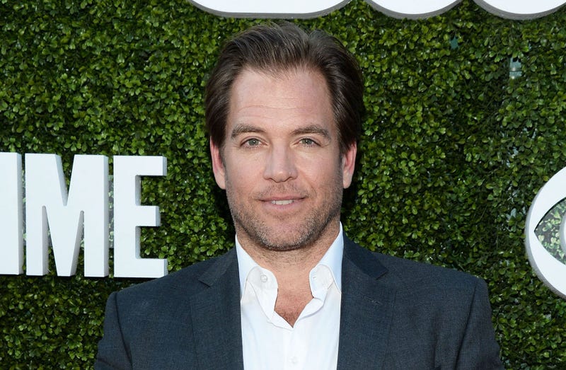 Michael Weatherly