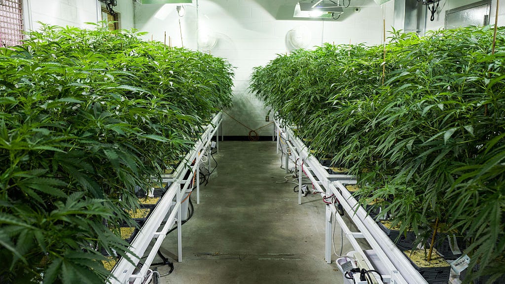 Three hospitalized after fire at marijuana grow facility in Canoga Park