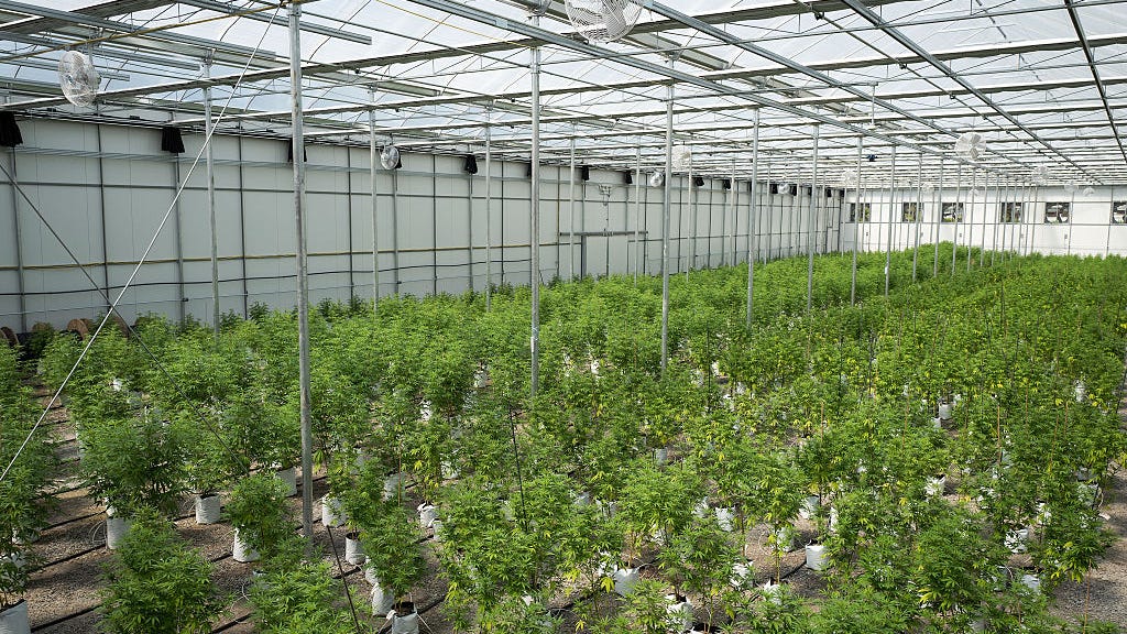 Leaders of NY’s adult-use marijuana program confirmed by state Senate