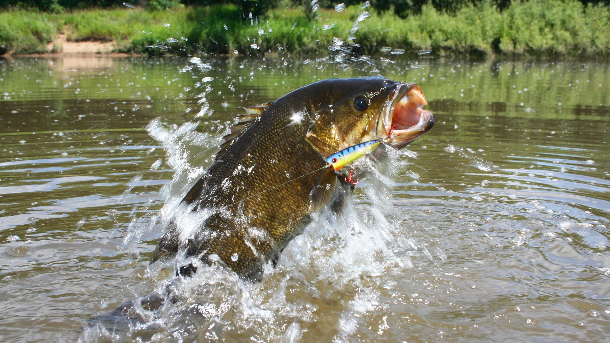 Texas Department of State Health Services warns not to eat fish from multiple DFW lakes
