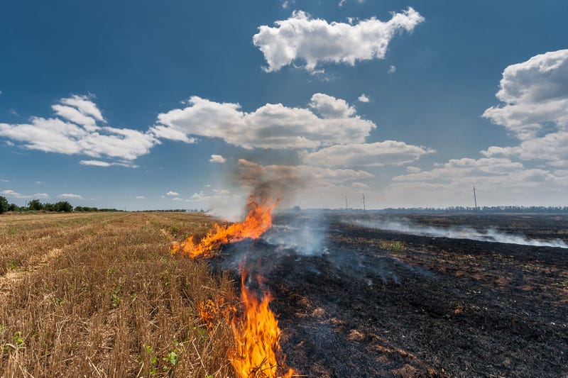 Field Burning