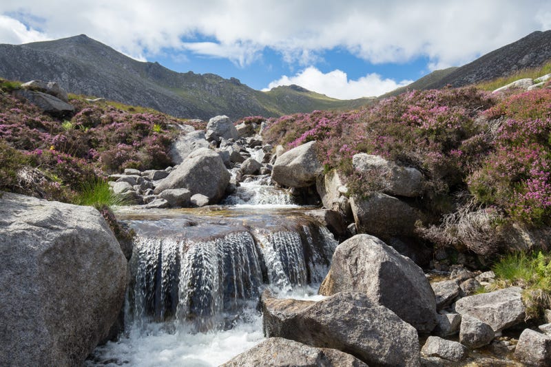 Isle of Arran