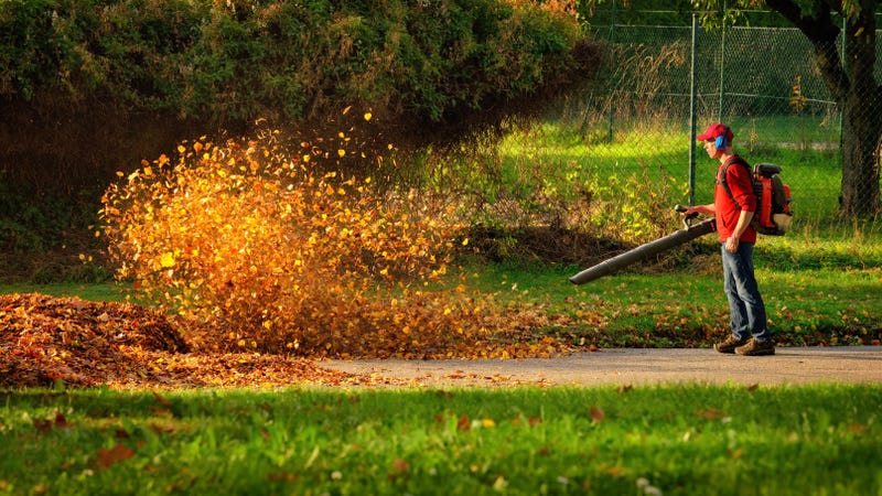Glencoe sustainability task force pushes village to ban gas-powered leaf blowers