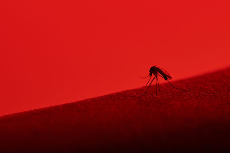 West Nile virus