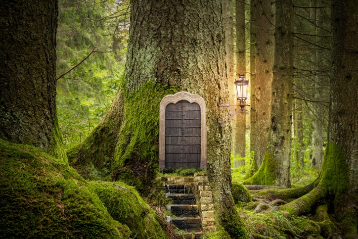 Tree home