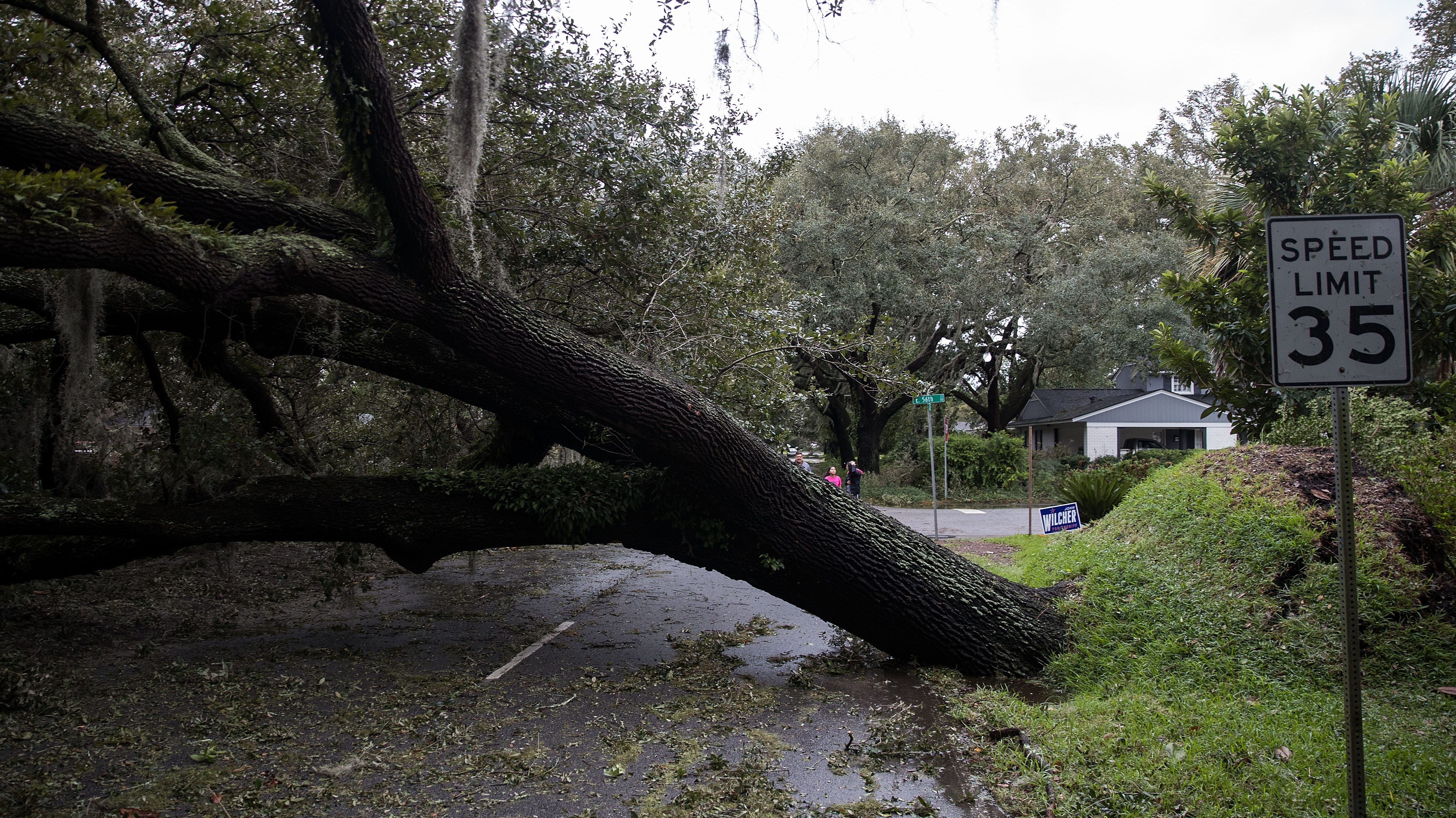 Ida's first fatality: Louisiana man killed in his home by a falling tree