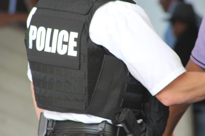 Police vest
