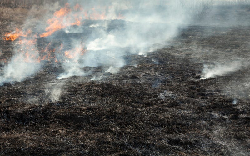 Grass Fires
