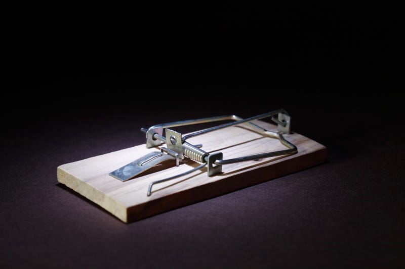 Mouse trap.