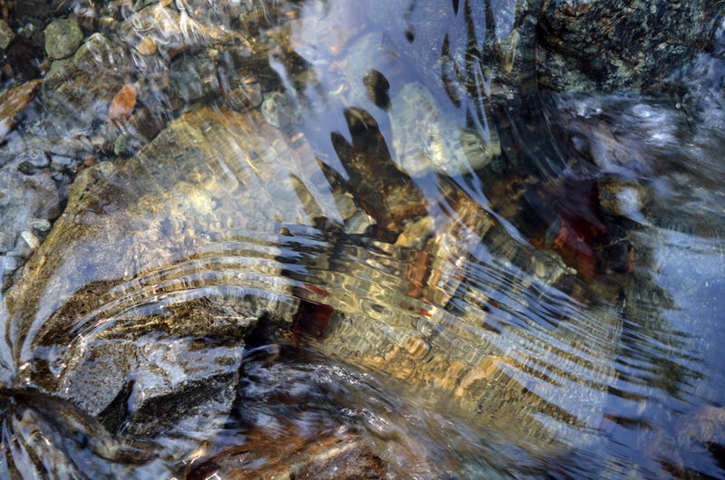 Police are piecing together what happened to a missing 41-year-old man from Monroe County after his body was discovered in a stream Saturday morning.