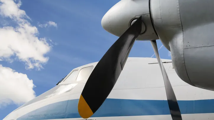 Co-pilot falls from plane making emergency landing without a parachute