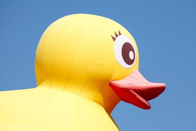 inflatable duck 