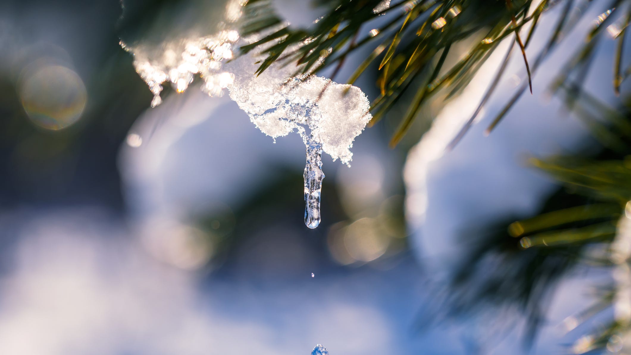 Lackluster snow in Sierra an ominous sign for fire season