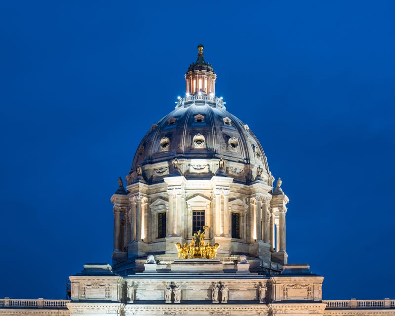 Minnesota, Capitol, Senate, Kari Dziedzic
