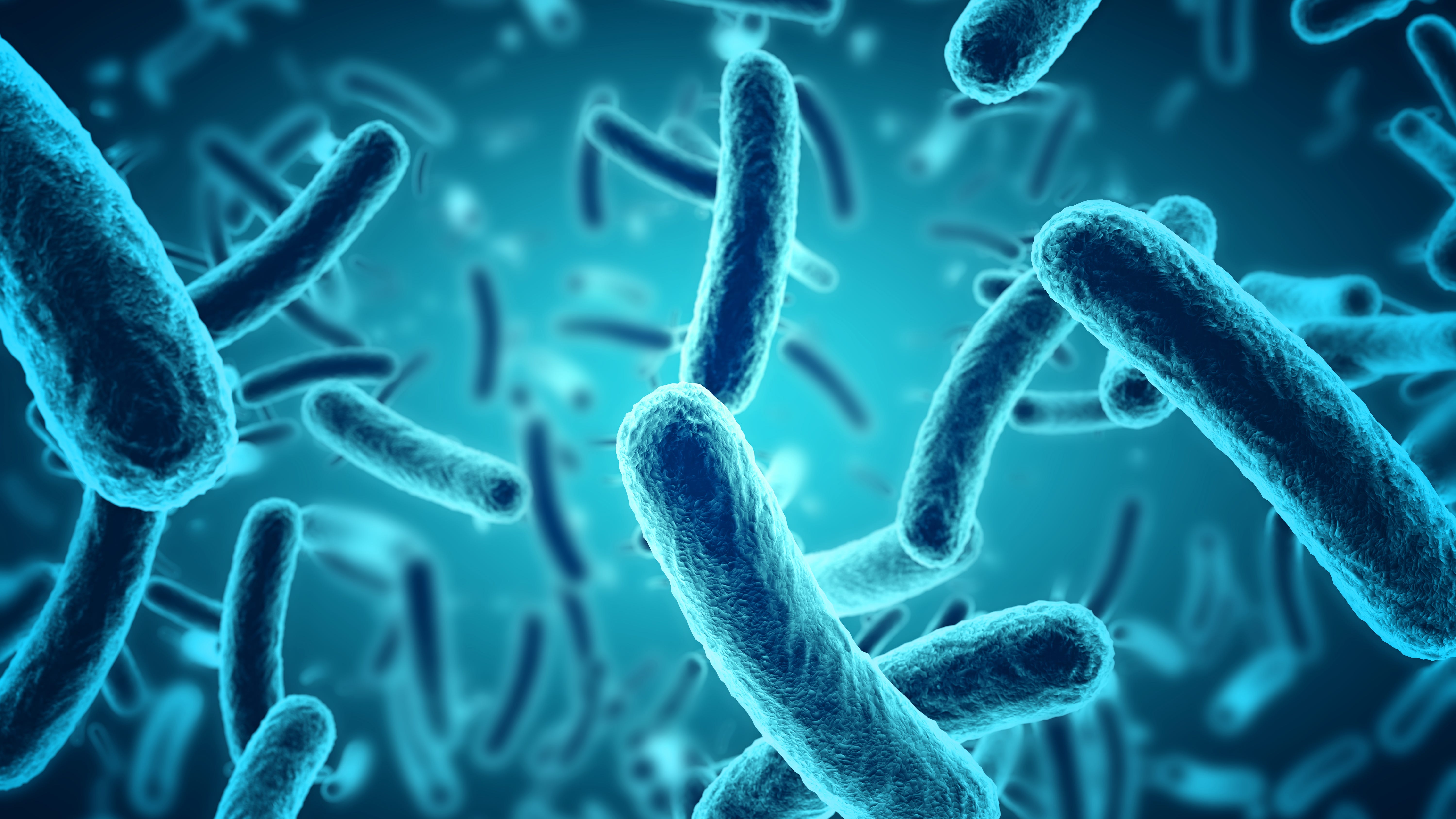 CDC searches for source of salmonella outbreak in 36 states