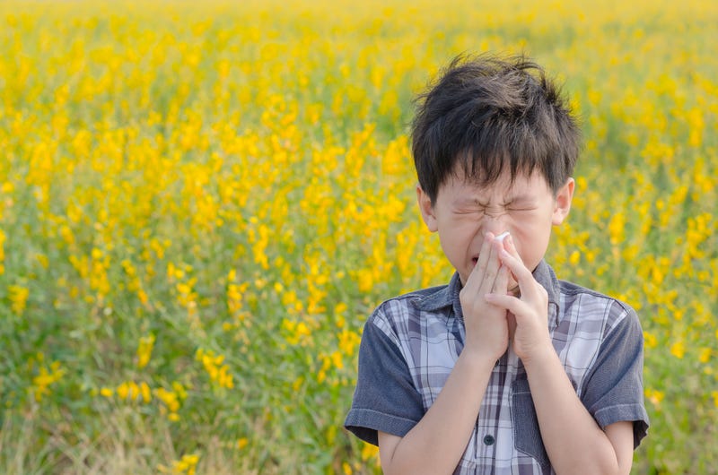 Your eyes and nose might have noticed. But they're not free and clear from seasonable allergies yet.