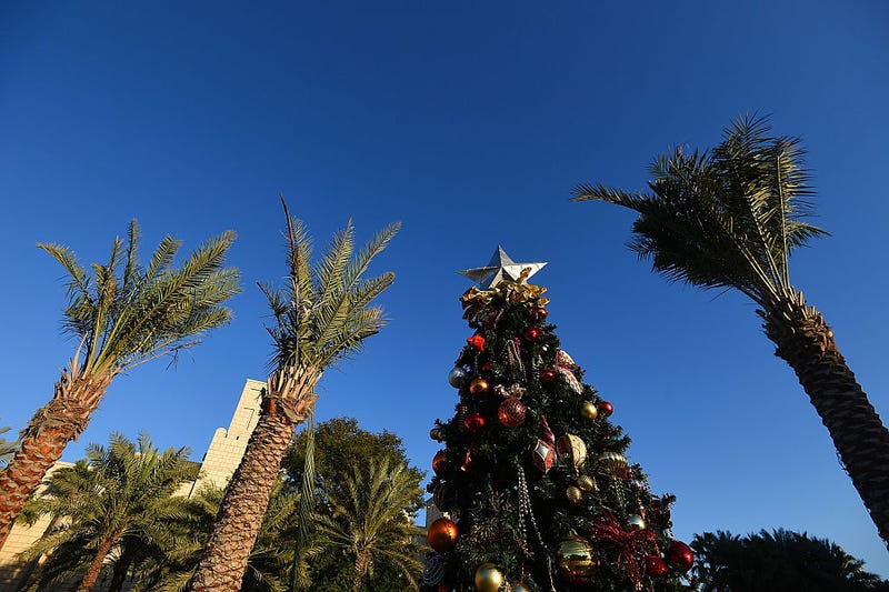 Christmas tree and palm trees.