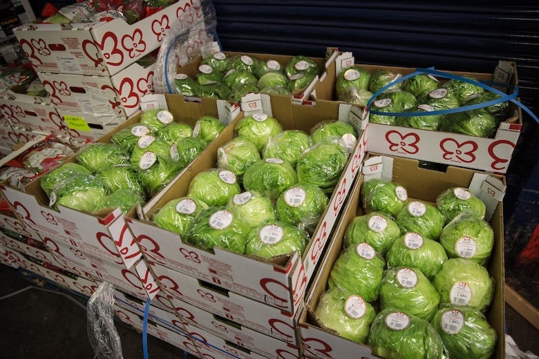 Heads of lettuce packed in cardboard boxes on display in a market
