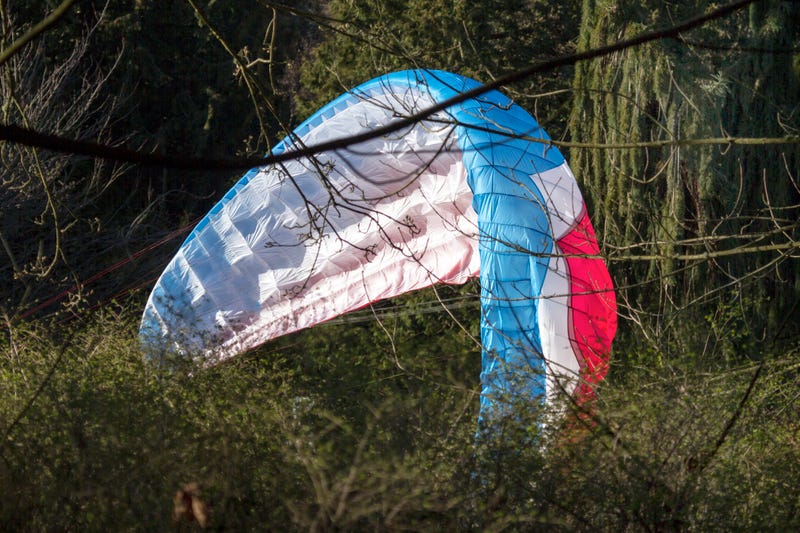 parachute in tree