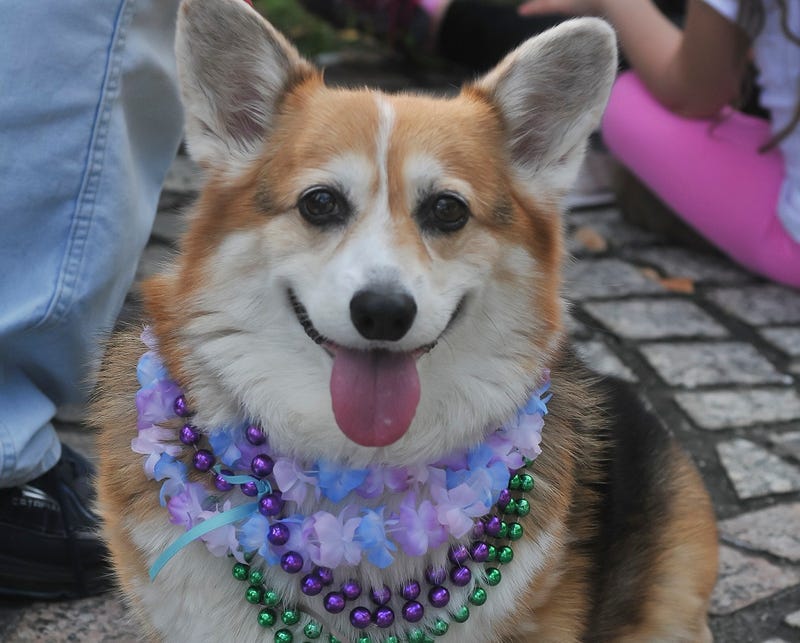 Amazing weather for first parade weekend