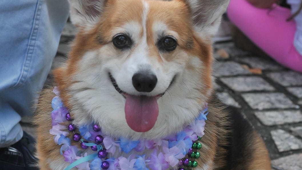 Rainy forecast rearranges parade schedule