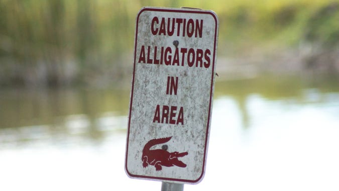 Man found dead in gator-filled lake was searching for Frisbees