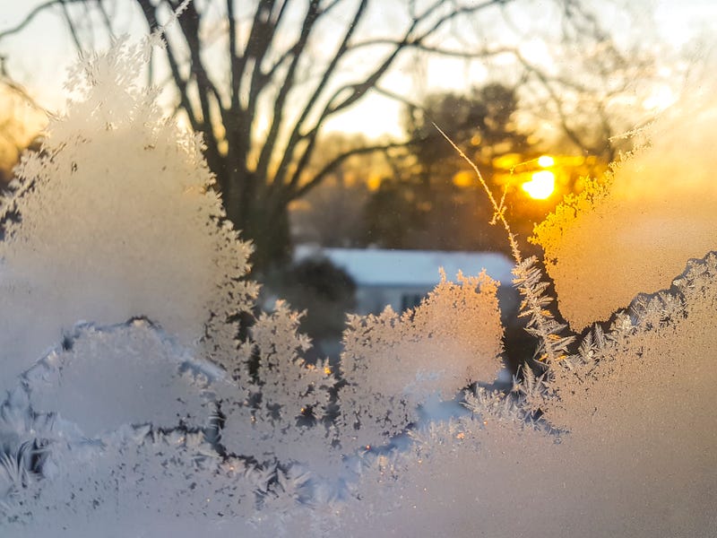 Feathered ice crystals on window, sunrise at background