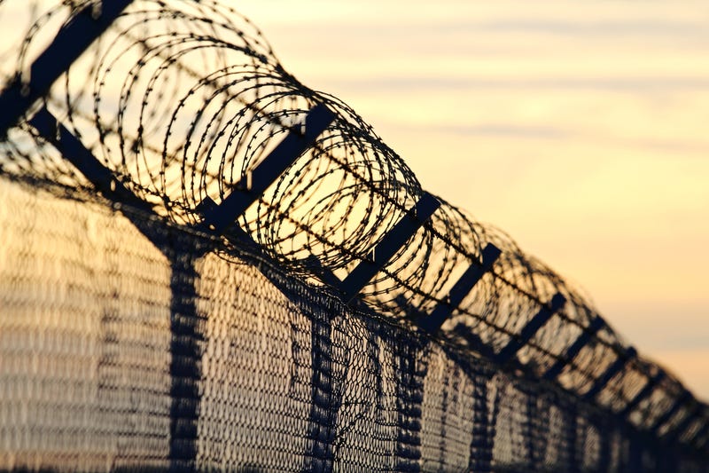 barbed wire