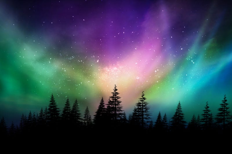 Northern lights in Canadian forest