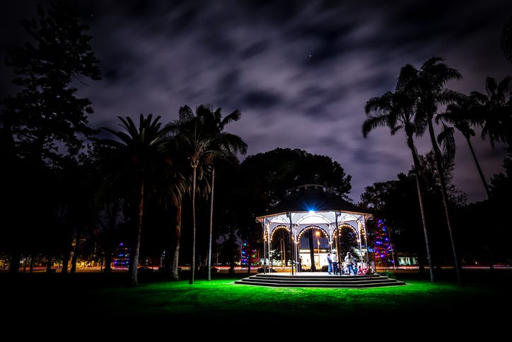 Spreckles Park with Christmas Decorations