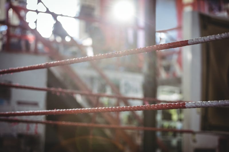 A 74-year-old woman from the Lansing are was left with a sprained ankle after a wrestler and a spectator got into an altercation at an event in Southgate on Saturday.