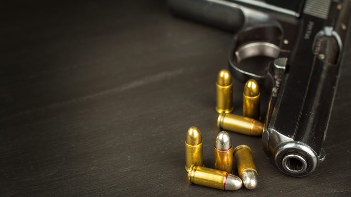 School shooting survivors applaud as gun reform legislation — including 'red flag law' — approved in the Michigan Senate