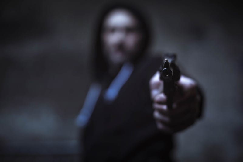 Gun